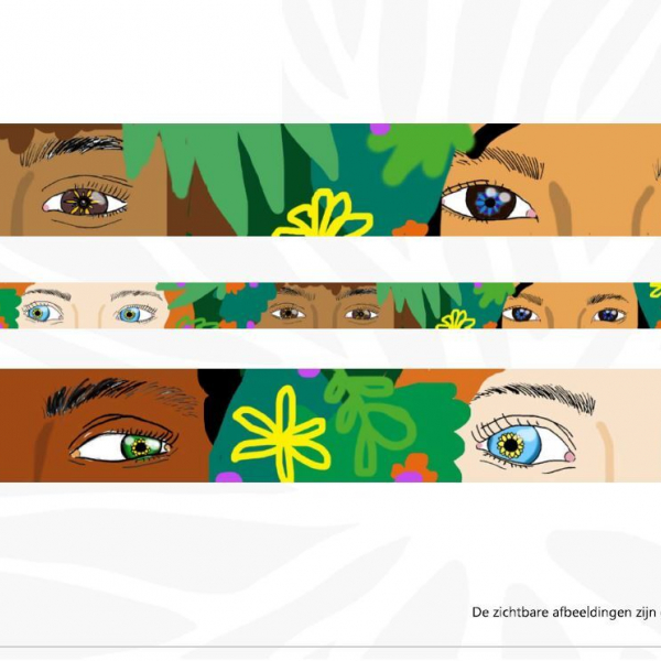 Proposition2-Palissade